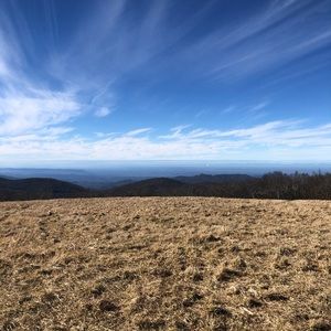 Meet your Posher, Ann